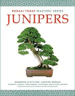 Bonsai Today Junipers