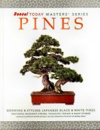 Bonsai Today Pines