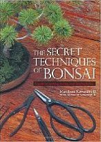The Secret Techniques of Bonsai